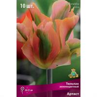 Тюльпан Зеленоцветный Артист (лос-роз заостренные лепестки с шир ярко-зел 1ШТ, 11/12) 764215