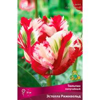 Тюльпан Попугайный Эстелла Рижнвельд* (красно-белый 1ШТ 11/12) 767078