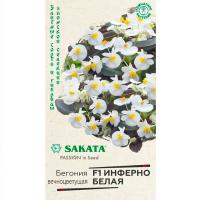 Бегония Инферно белая F1, гибридная 4 шт