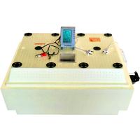 Инкубатор "Золушка-2020" автом.переворот с вентилятором 70/220/12/Новосибирск