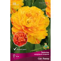 Тюльпан Махровый поздний Сан  Лавер (оранжево-жёлтый 1ШТ, 11/12) 766332