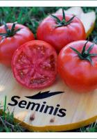 Томат Мей Шуай F1 100шт