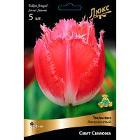 Тюльпан Бахромчатый Свит Симона ( 5шт 12/+) 756317