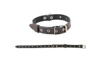 Ошейник кожа 25мм 1сл Стандарт безразмерный до 56см/010125