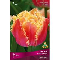 Тюльпан Бахромчатый Брисбен (густобахромчатый, кораллово-красный с желтой бахр, 1ШТ, 11/12) 755724