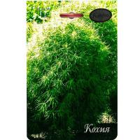 Кохия Королевский замок 20*1 