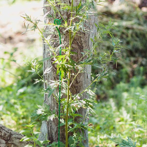 Колышек проволочный 50см комплект 10шт  Колышек проволочный 50см комплект 10шт