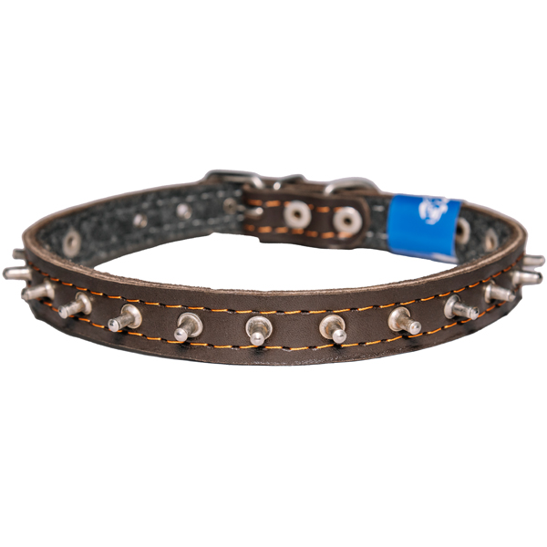 Ошейник кожа 20мм с украшением и шипами на фетре 44-46см/40632/Бим