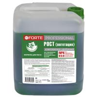 Бона Форте Professional Рост (фаза 2) 5л