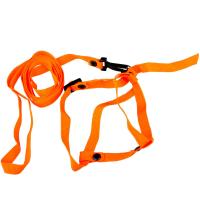 Комплект для кошек (поводок и шлейка) Вака 20177 Комплект для кошек (поводок и шлейка) Вака 20177