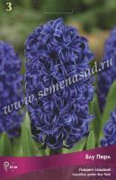 Гиацинт Садовый Блу Перл (14/15) 3шт.
