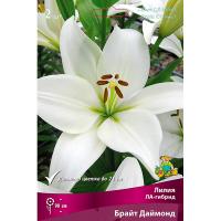 Лилия ЛА-Гибрид Брайт Даймонд (14/16) 2 шт