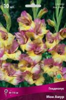 Гладиолус Крупноцветковый Мон Амур (10/12) 10 шт
