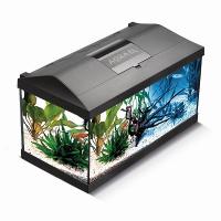 Аквариум прямоугольный полный комплект 54л(61*31*36) LEDDY SET PLUS 60 черный /124532/АП