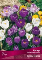Крокус Крупноцветковый смесь (белый, голубой, желтый, 10шт, 7/8) 756090