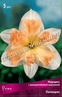 Нарцисс с Расщеплённой коронкой Палмарес (5шт, 12/14) 756213