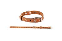Ошейник кожа 25мм 1сл Стандарт безразмерный рыжий до 56см/010125рыж/Дарэлл