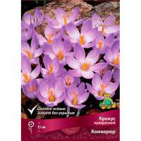 Крокус прекрасный Конкерор (сиреневый, цветет осенью, 10шт, 7/+) 756091
