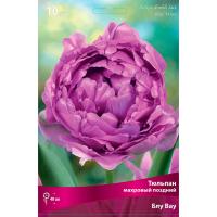 Тюльпан Махровый поздний Блу Вау (сиреневый, пионовидный, 7шт, 11/12) 833144