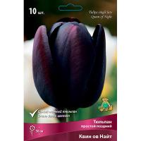 Тюльпан Простой поздний Квин ов Найт (чёрный, 1ШТ 11/12) 767464