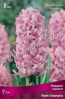 Гиацинт Садовый Пинк Сюрприз (14/15) 3шт.