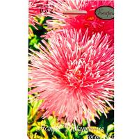 Астра Искушение лососевая 20*1  Астра Искушение лососевая 20*1