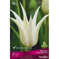 Тюльпан Лилиецветный Тре Шик (белый, 1ШТ 11/12) 765534