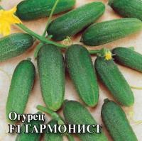 Огурец Гармонист F1 250шт