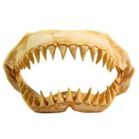 Грот Deksi Челюсти динозавра 1003 31*13*17/Ф7207