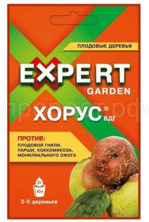 хорус.jpg хорус.jpg