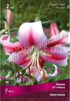 Лилия ОТ-Гибрид Анастасия (12-14) 5 шт 717811 Лилия ОТ-Гибрид Анастасия (12-14) 5 шт 717811