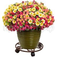 П173092_1 П173092_1