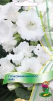 Глоксиния Импресс Вайт Глоксиния Импресс Вайт