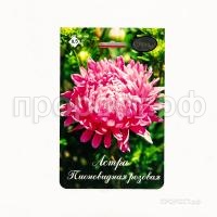 Астра Пионовидная Даная розовая 200,5 Каприс