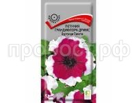 Петуния грандифлора Дримс Бургунди Пикоти 15 шт