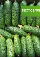 Огурец Герман F1 Огурец Герман F1