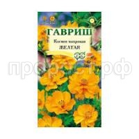 Без названия (11) Без названия (11)