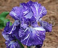 НоменклатураПрисоединенныеФайлы