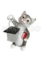 кот с фон кот с фон