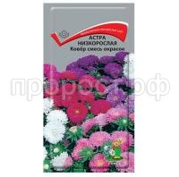 Астра-низкорослая-Ковер-смесь-окрасок-0,2г-Поиск