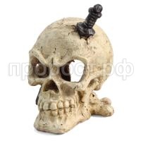Грот череп пирата 120 на 110
