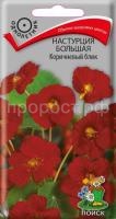 Настурция большая Коричневый блик Настурция большая Коричневый блик
