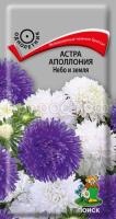 Астра Аполлония Небо и земля Астра Аполлония Небо и земля