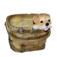 щенко в лукошке щенко в лукошке