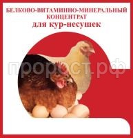 бвмк кур несушек бвмк кур несушек