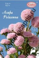 astra-pomponnaya-rozovaya-rozalina-kapris astra-pomponnaya-rozovaya-rozalina-kapris