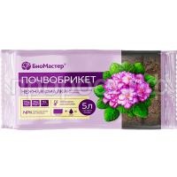 нежная фиалка 5