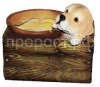 щенок в ящике щенок в ящике