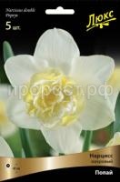 narciss_mahrov_popay_kaper narciss_mahrov_popay_kaper