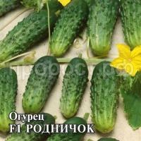 Огурец Родничок F1 10 г Огурец Родничок F1 10 г